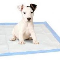 Highly Absorbent, Odor Controlling Pee Pads For Dogs | Free Shipping July Test Stunning Pets