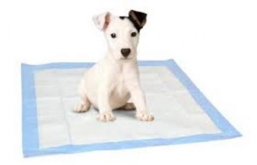 Highly Absorbent, Odor Controlling Pee Pads For Dogs | Free Shipping July Test Stunning Pets