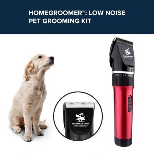dog home grooming