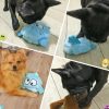 HOPPINGBEAST™: Jumping Monster Toy that Will Become Your Dog's Favorite Toy Dog Toy GlamorousDogs 