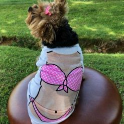 Hot Summer Body Shirt for Small Dogs and Cats | Free Shipping July Test Stunning Pets 