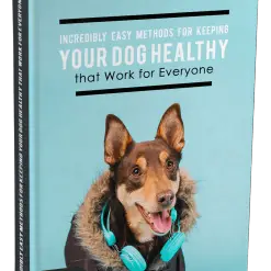 Incredibly Easy Methods for Keeping Your Dog Healthy that Work for Everyone Glamorous Dogs Shop - Glamorous Accessories for Your Dog + FREE SHIPPING