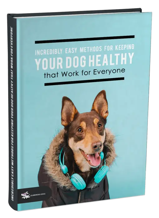 Incredibly Easy Methods for Keeping Your Dog Healthy that Work for Everyone Glamorous Dogs Shop - Glamorous Accessories for Your Dog + FREE SHIPPING