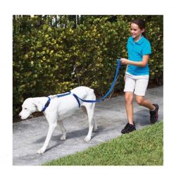 Instant Dog Leash Trainer Stunning Pets