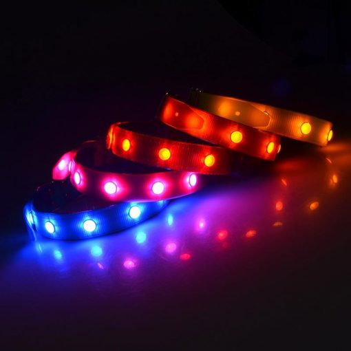 Keep them Visible with the Solar Chargeable LED Collar Stunning Pets