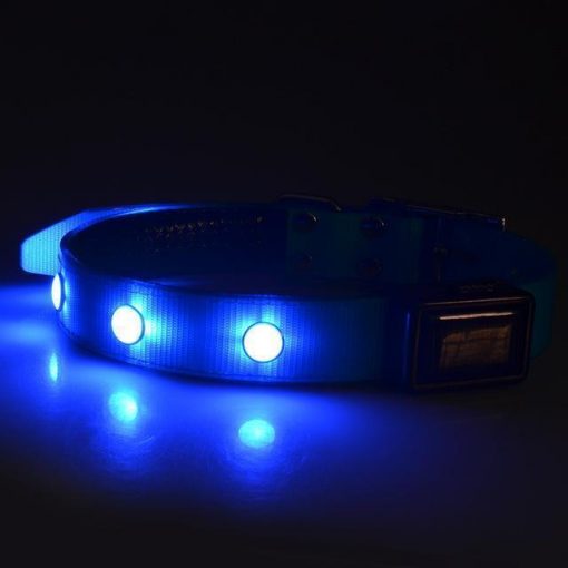 Keep them Visible with the Solar Chargeable LED Collar Stunning Pets Blue S