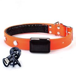 Keep them Visible with the Solar Chargeable LED Collar Stunning Pets Orange S 