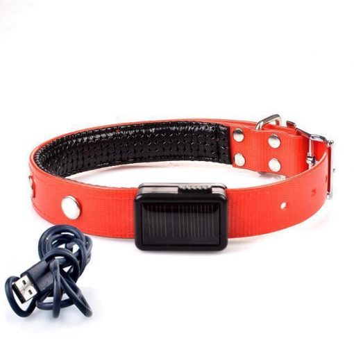 Keep them Visible with the Solar Chargeable LED Collar Stunning Pets Red S