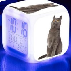 Kitten Changing-colour LED Digital Alarm Clock August Test GlamorousDogs Model 10 