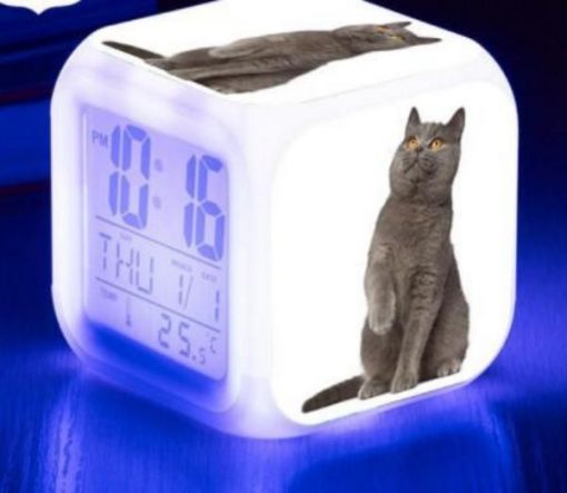 Kitten Changing-colour LED Digital Alarm Clock August Test GlamorousDogs Model 10