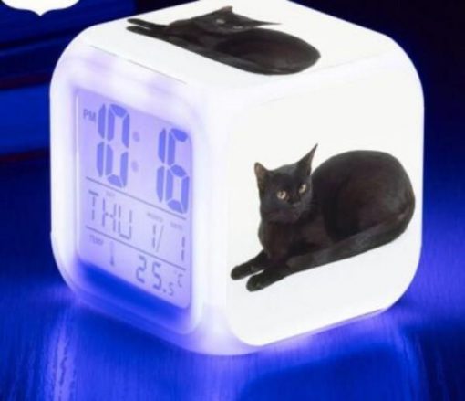 Kitten Changing-colour LED Digital Alarm Clock August Test GlamorousDogs Model 1