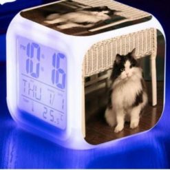 Kitten Changing-colour LED Digital Alarm Clock August Test GlamorousDogs Model 2
