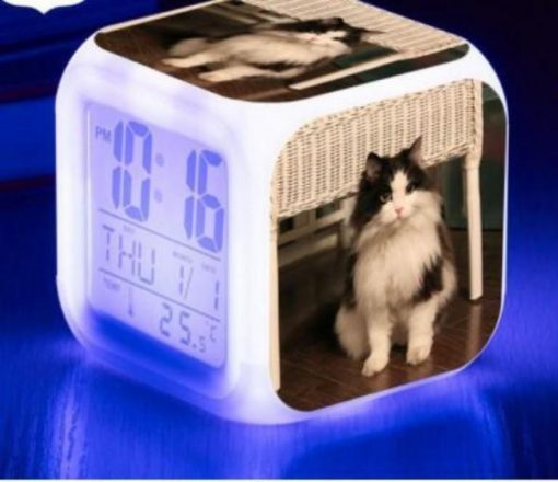 Kitten Changing-colour LED Digital Alarm Clock August Test GlamorousDogs Model 2