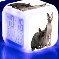 Kitten Changing-colour LED Digital Alarm Clock August Test GlamorousDogs Model 3 