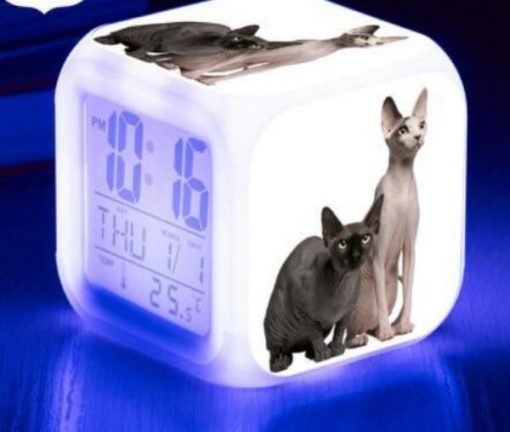 Kitten Changing-colour LED Digital Alarm Clock August Test GlamorousDogs Model 3