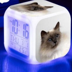 Kitten Changing-colour LED Digital Alarm Clock August Test GlamorousDogs Model 4 