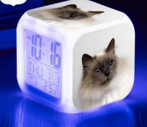 Kitten Changing-colour LED Digital Alarm Clock August Test GlamorousDogs Model 4