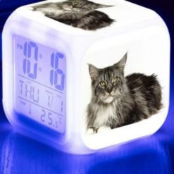 Kitten Changing-colour LED Digital Alarm Clock August Test GlamorousDogs Model 6 