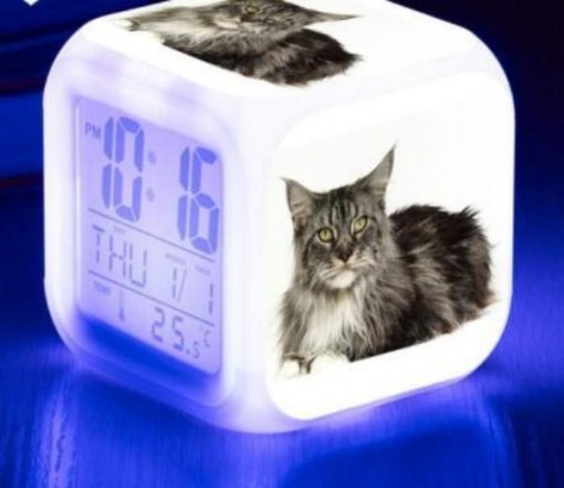 Kitten Changing-colour LED Digital Alarm Clock August Test GlamorousDogs Model 6