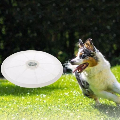 LED Flying Frisbee for Dogs | Best Fetch Toy GlamorousDogs Green 5.1 Inch Diameter
