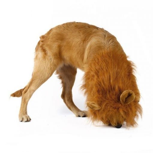 Lion Mane For Dogs, Turn Your Dog Into A Strong Lion Dog Wig GlamorousDogs