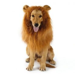 Lion Mane For Dogs, Turn Your Dog Into A Strong Lion Dog Wig GlamorousDogs 