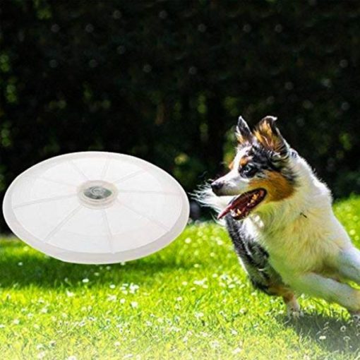 Liver Cancer Support Frisbee For FREE | Just Cover Shipping! Dog Toys GlamorousDogs