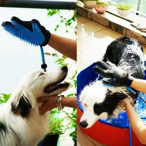 MASSAGEBATH™: Pet Bathing & Massaging Glove grooming GlamorousDogs