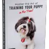 Master the Art of Training Your Puppy in No Time! Glamorous Dogs Shop - Glamorous Accessories for Your Dog + FREE SHIPPING 