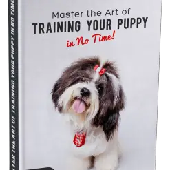 Master the Art of Training Your Puppy in No Time! Glamorous Dogs Shop - Glamorous Accessories for Your Dog + FREE SHIPPING