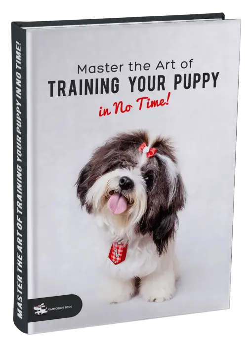 Master the Art of Training Your Puppy in No Time! Glamorous Dogs Shop - Glamorous Accessories for Your Dog + FREE SHIPPING
