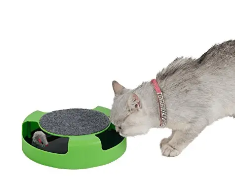 Mouse Catch Cat Toy Fun Stunning Pets