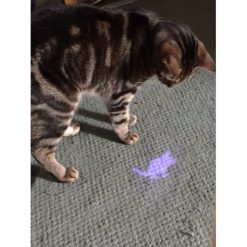 Mouse Laser Pointer For Cats Fun Stunning Pets