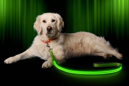 multi color dog led leash Stunning Pets