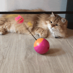 Multifunctional Tumbler Teaser Cat toy July Test Stunning Pets Pink