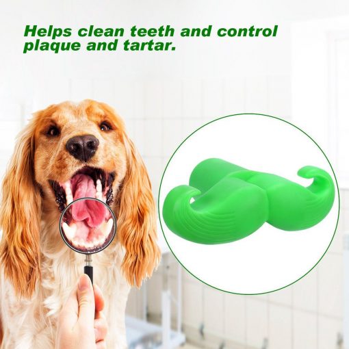 Mustache Chewing Squeaky Indestructible Dog Toy | Free Shipping Stunning Pets