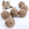 Natural Catnip Treat Ball Stunning Pets 