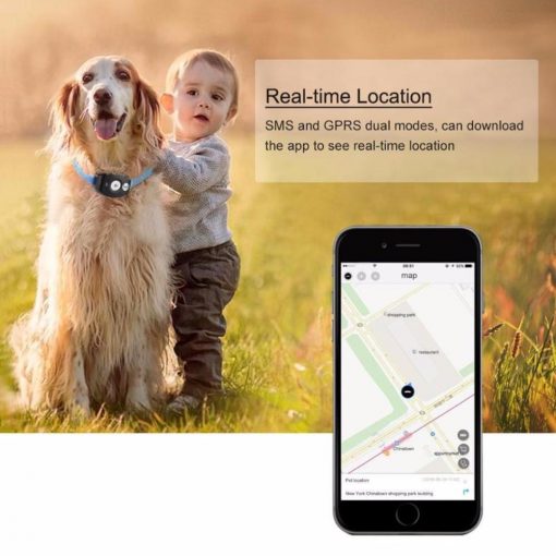 Never Lose Sight of Your Pet with GPS Tracker Stunning Pets