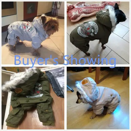 New Cotton Dog Printed Costume for Warm Winter Stunning Pets