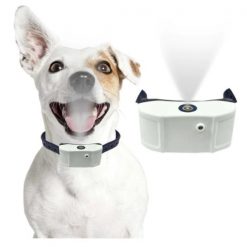 NOBARKCOLLAR™: Anti-Barking Spray Collar for Dogs No Barking Citronella spray Glamorous Dogs 