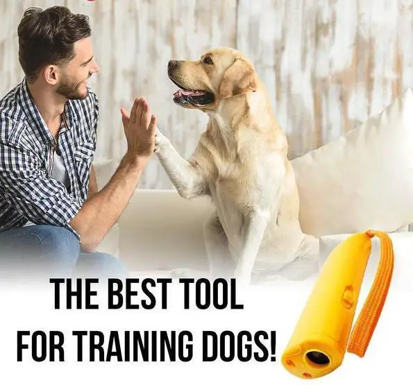 NOBARK™ Anti Barking Device For Dogs Ultrasonic Dog