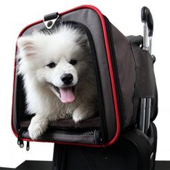 PETCARRYON™: Pet Carrier Bag for Getting Your Pet Everywhere With You High Ticket GlamorousDogs