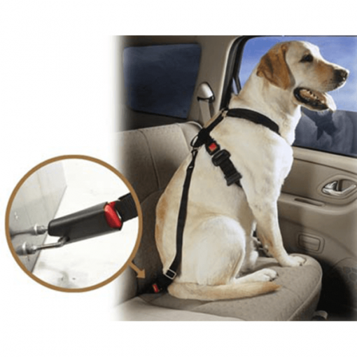 Pet Car Seat Belt Stunning Pets