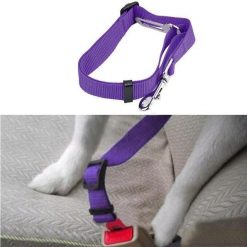 Pet Car Seat Belt Stunning Pets Purple XL 