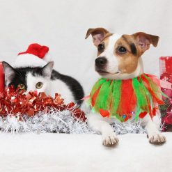 Pet Christmas Hat & Scarf Christmas Hat GlamorousDogs