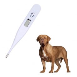 Pet Digital Thermometer Stunning Pets