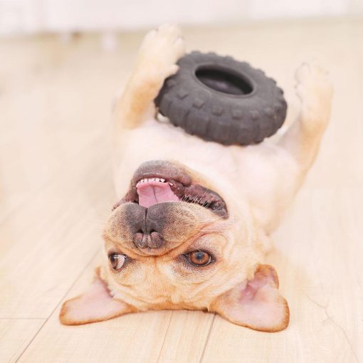Pet Toy Bite-resistant Tire Rubber Pet Toy GlamorousDogs