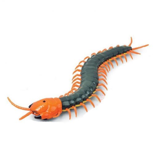 Pet Toys - Remote Control Insect Stunning Pets