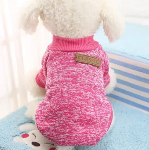 Pet Winter Jacket Coat Stunning Pets Rose L