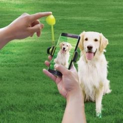 Picture Perfect Pet Treat Launcher | Capture Perfect Photos For Dogs ROI TEST GlamorousDogs